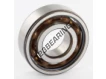 6204-TN9-C3-SKF