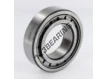 NJ2210-ECJ-SKF