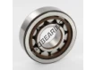 NJ305-ECP-SKF