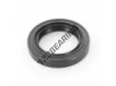 OAS-25.80X38X6.35-NBR