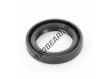 OAS-25.80X38X6.35-NBR