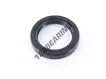OAS-38X52X8.500-NBR