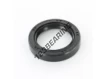 OAS-38X54X10-NBR