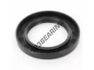 OAS-69.85X107.95X12.70-NBR